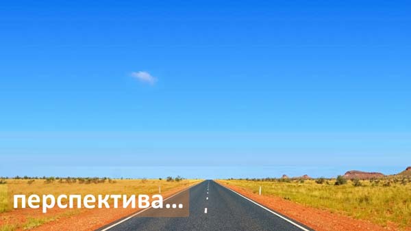 Структура вторичного рынка запчастей 2021 AGORA MIMS Automechanika.  Аналитика на balakovo.win-sto.ru